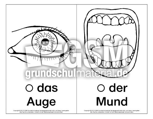 Bild-Wort-Karten-Körperteile 2.pdf